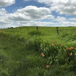 Meet your Posher, Krystal